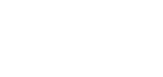 logoconecta